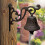 Rustic Iron Bird Door Bell Wall Mounted Antique Decor 6
