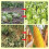 Solar Animal Repellent Light with Loud Alarm 4