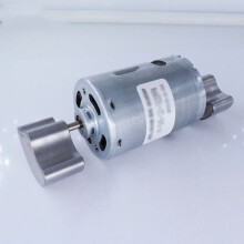 RS-555 Vibration Motor DC 12V-24V Dual Head