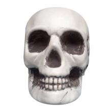 Up to 50% off! Realistic Plastic Skeleton & Skull Props – Spooky Halloween Decor, Compatible with Halloween Displays