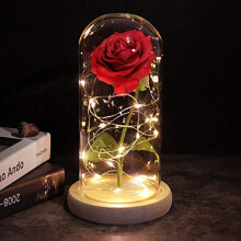 Brown Wood Base Dried Flower Arrangement with Red Rose in Glass Dome, LED Fairy Lights – Wedding, Valentine’s, Mom Gift