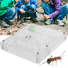 Acrylic Ant Breeding Box 11x10x1.7cm Transparent Feeding Case