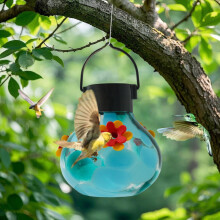 Solar Lighted Bird Feeder with Battery