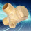 3 Way Brass Check Valve 323 17