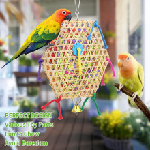 2Pcs Parrot Chewing Toys, Bird Foraging Shredder Toys for Parrotlets Lovebirds Cockatiels
