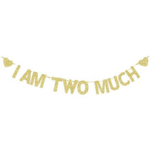 I AM Two Much Banner, Girls/Boys/Kids' 2nd Bday Sign, Gold Gliter Paper Garlands for 2 Years Old Birthday Party