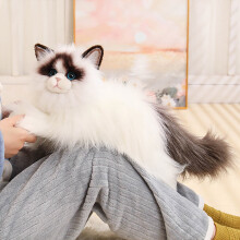Peluche Chat Ultra Douce et Réaliste (1 pièce)