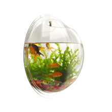 Wandaquarium, wandvaas, bloempot, acryl wandaquarium voor goudvissen