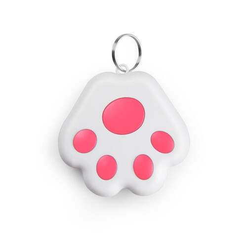 Aimsitheoir Eochrach Bluetooth le hAláram Frith-Chaillte