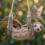 Sloth Bird Feeder Weather-Resistant Hanging Feeder 4
