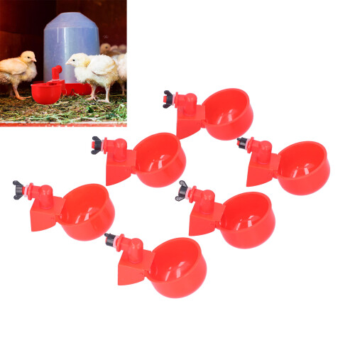 Poultry Water Feeder 6 Cups Auto