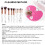10pcs Makeup Brush Set - Face, Powder, Eyeshadow, Black 3
