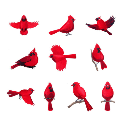 Red Cardinal Ornaments, 10-Piece Acrylic Flat Hanging Set 1
