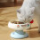 Ergonomic Hoisted Pet Bowl Rustless Not-Yellow Bring a bowl 2
