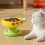 Ergonomic Hoisted Pet Bowl Rustless Not-Yellow Bring a bowl 7