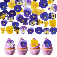 48 fiori secchi commestibili naturali per decorare torte/cupcake, cocktail, gioielli in resina e lavori fai da te – Mix Viola Tricolore