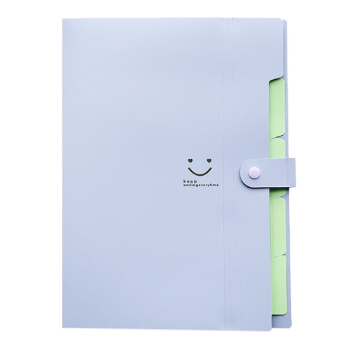 PP 5 Pockets A4 File Organizer, Purple