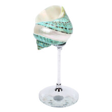 Muschelschalen-Weinglas 17 cm grünes Muschelgoblet für Partys