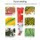 Portable Fertiliser Seeder for Peanut and Corn 20