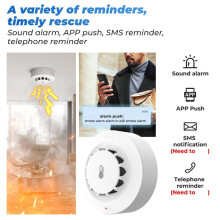 Tuya WiFi Temperature and Humidity Sensor Detector Protection House Combination Firefighters