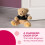 Teddy Weighted Door Stop Soft Fabric Decorative 6