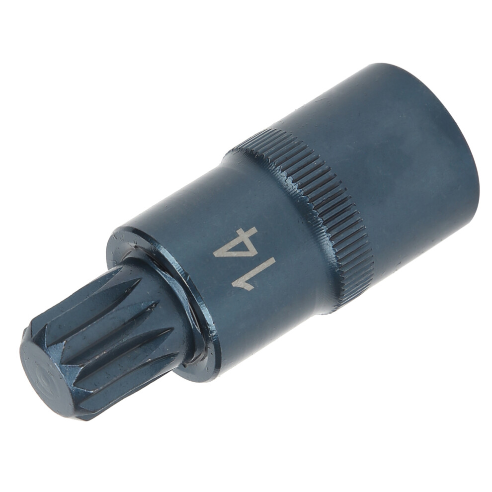 12-Point 1/2In Square Socket Screwdriver Bit, Alloy Steel, M14 9321392010233