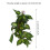 BoxNFF‑86 Variegierte Blatt-Simulationsrebe 2–2,5 m 8