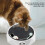 Interactive Cat Catch Mouse Toy, 26cm Plastic Spin Turntable 3