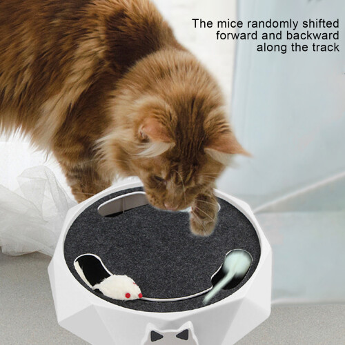 Interactive Cat Catch Mouse Toy, 26cm Plastic Spin Turntable 2