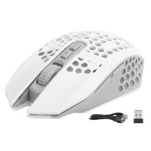 Stumme RGB Hohlmaus 2.4GHz