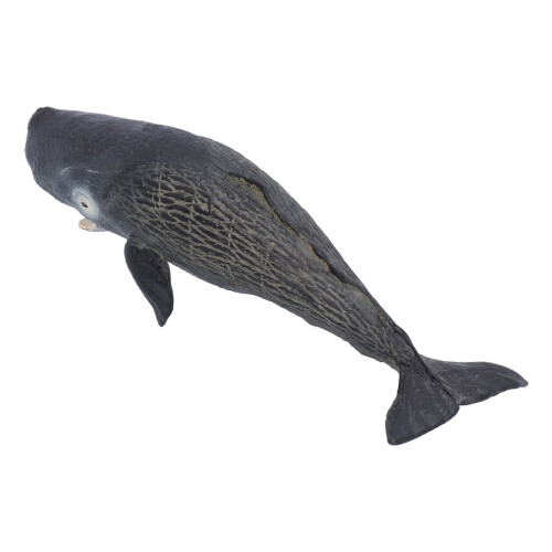 Realistisches Pottwal-Modell - Kunststoff, 21  6  5,3 cm 2