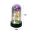 Rose Galaxy conservée sous dôme de verre avec lumière LED 3