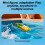 Mini RC-Boot 100mAh 2.4G 360 Licht USB wasserdicht 6