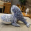 Blauwal Kuscheltier Plüsch 50 cm Deko Geschenk 2