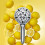 VC Aromatherapy Shower Head 5-inch Electroplated Removable 4