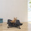 Actiaspet Small Elevated Camping Pet Bed 7