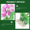 Artificial Plants for Aquarium Assorted Color 9Pcs 3
