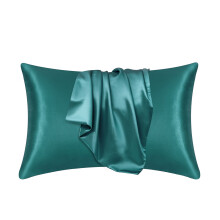 2-Piece Satin Pillowcase Set for Hair & Skin, Queen (20x30"), Cooling, Anti-Wrinkle, Envelope Closure