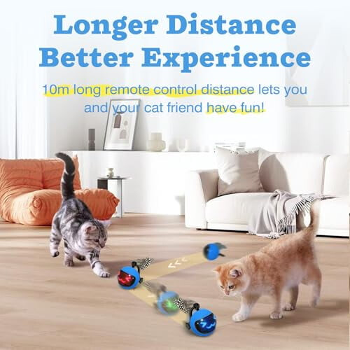 Balle rechargeable pour chat avec queue en plumes et télécommande – Convient aux chats et chatons d'intérieur 2