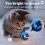 Balle rechargeable pour chat avec queue en plumes et télécommande – Convient aux chats et chatons d'intérieur 6