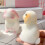 Poodle de Pelúcia Macio e Fofo Rosa e Branco - Presente Perfeito para Crianças e Amantes de Cães 7