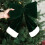 Christmas silk bow decoration red multicolor large 4