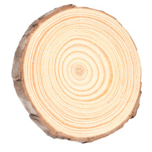 Natural Pine Wood Slices 6-7cm Round DIY Crafts & Wedding Decoration