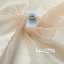 Organza Fabric Semi-Transparent Apricot 39x59 Inches