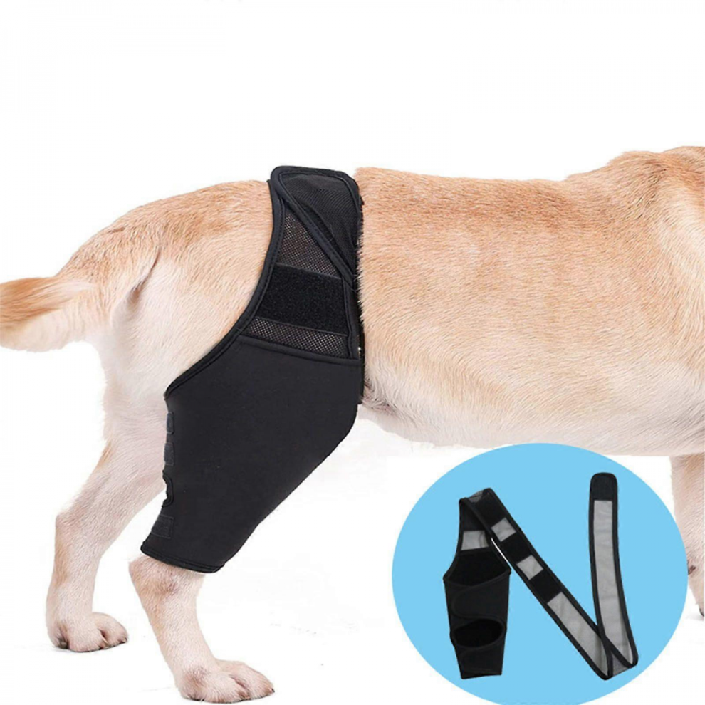 Dog Knee Brace, Leg Support Brace for Torn ACL & CCL Better Recovery, Adjustable Rear Leg Braces for Injury Dogs