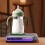 Portable Space Heater with Adjustable Thermostat and Timer 3