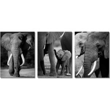 Afrikanische Tiere Leinwand Elefant Dekor Moderne Wandkunst Dekorationen für Wohnzimmer Büro Schlafzimmer (12"x16"x3 Stück gerahmt)