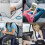 6-Pack Nylon Braided USB-A to Lightning Cables (6FT & 10FT), 3A Fast Charging & Data Sync, Compatible with iPhone/iPad 7