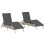 VidaXL vidaXL Sonnenliegen 2 Stk. mit Tisch Hellgrau Poly Rattan 1