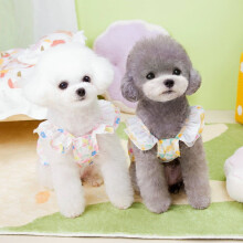 Adorable Pet Clothes for Cats & Small Dogs - Charming Spring & Autumn Wear.